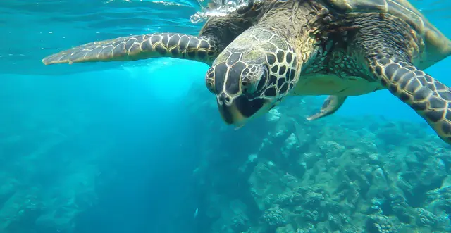 Zakynthos: sea and nature 2